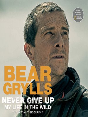 Never Give Up - Audiobook
